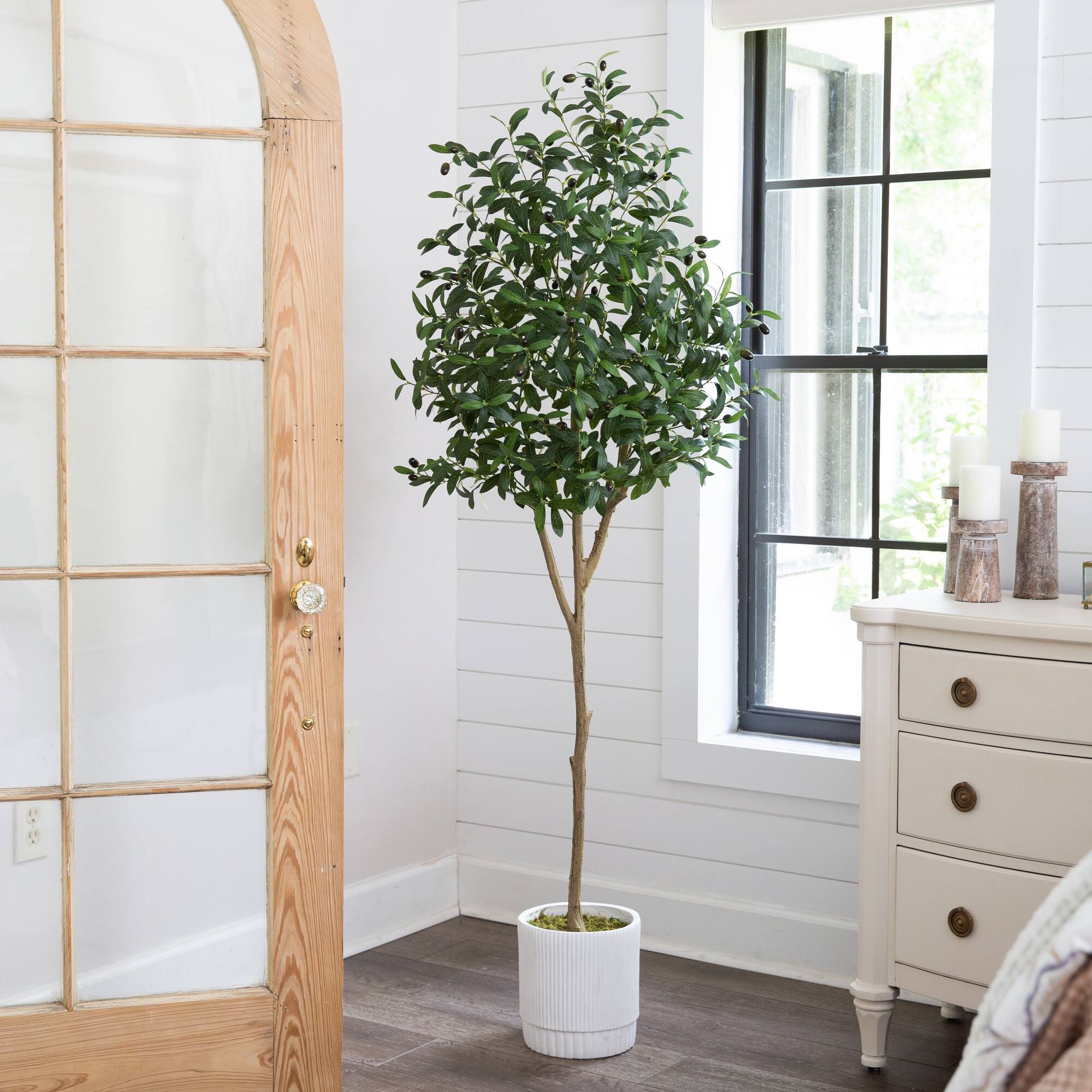 6ft. Artificial Olive Tree with White Decorative Planter